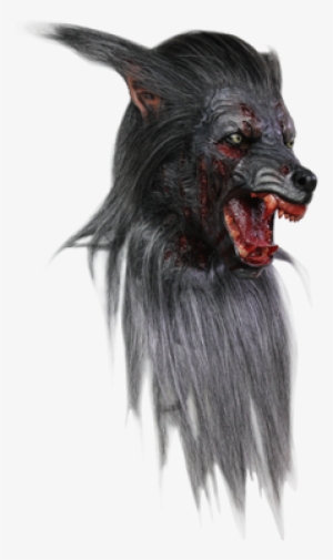 Extreme Black Wolf Rotting Zombie Werewolf Life Like - Mascaras De Hombre Lobo