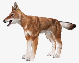 Download Zip Archive - Zoo Tycoon 2 Ethiopian Wolf