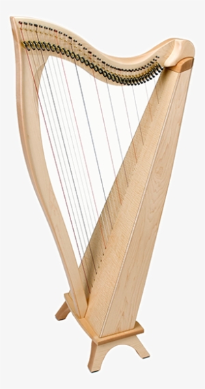 Dusty Strings Fh34 Celtic Harp - Parts Of A Harp