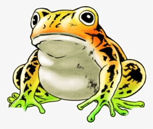 Unit Frog Big White - Frog