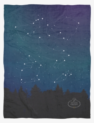 Star Light, Bun Bright - Star