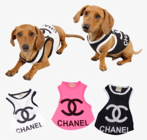 Doguister Polera Chanel - Kompremos.com