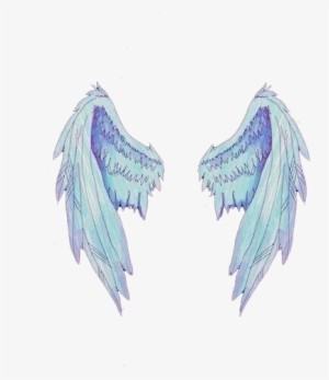 Angel Wings Png Tumblr Download - Wings Divider For Instagram