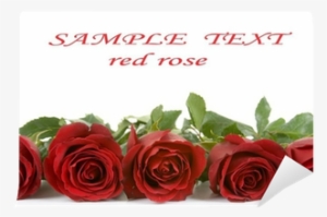 Red Or White Roses Border