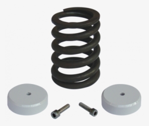 Coil Spring - Spring