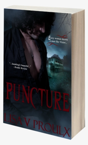 Puncture 3d Book Cover - Book Cover
