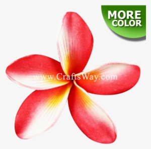 Foam Plumeria Type E - Frangipani