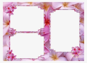 Tarlow Design Llc - Picture Frame