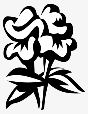 Vector Illustration Of Snapdragon Flowering Garden - Clip Art