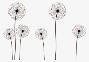 Vector Dandelion Vector 02 By Dragonart100 - Dandelion Black And White Vector