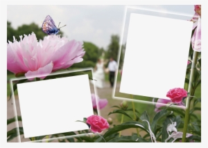 Belas Molduras Com Flores