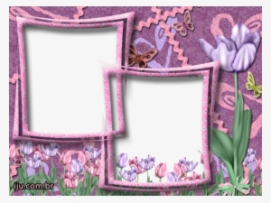 Moldura Para 2 Fotos Flores - Moldura Duas Fotos Png 2