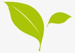 Flat Design - Leaf Flat Design Png