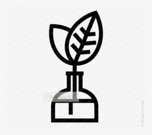 Vector Icon Of Growing Up Young Leaves In Glass Flower - Vector Graphics
