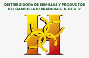 Distribuidora De Semillas Y Productos Del Campo