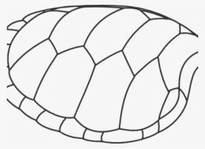 Shell Clip Art - Turtle Clip Art