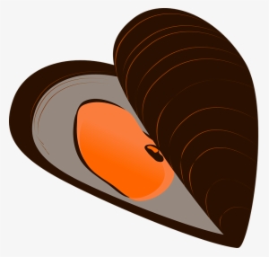 Clam Shell Png Download - Mussel Clipart