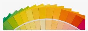 About Alex Meza