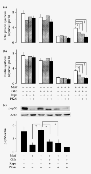 Effects Of Mtor And Pka Inhibitors On Glibenclamide - Glibenclamide