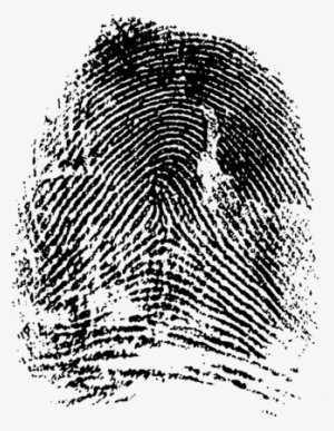 Fingerprints As Detectives - Gif Finger Print