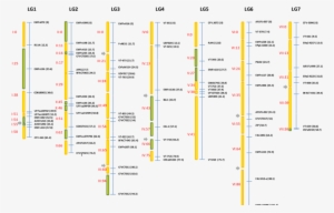Distribución De Los Bins En Los Grupos De Ligamiento, - Diagram
