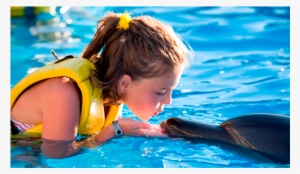 Scuba Diving Puerto Vallarta - Grand Bahia Principe Coba Delphins