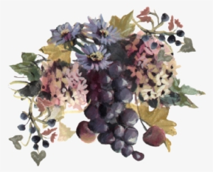 Blue Grapes And Chicory - Grapes And Flowers Illustration