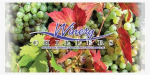 Grape
