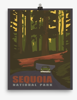 Sequoia National Park California - Sequoia National Park