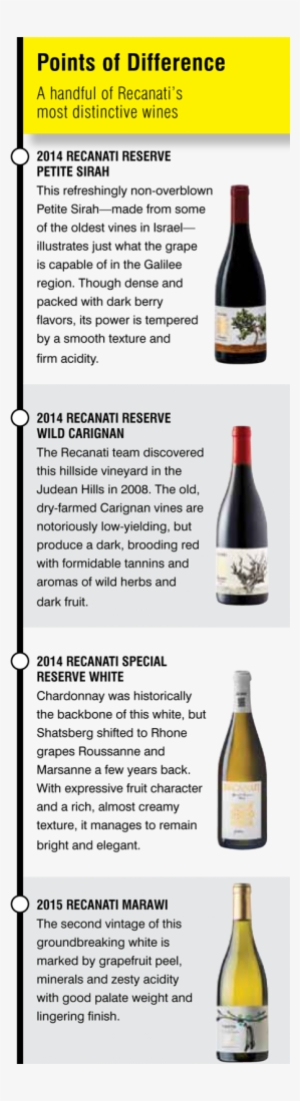 Setting The Pace For Israel's Wine Transformation