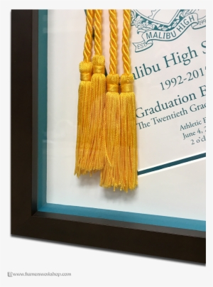 Framed Malibu High School Graduation Memorabilia Detail - Righttime Medical Care