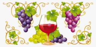 Wine Grapes Drawing