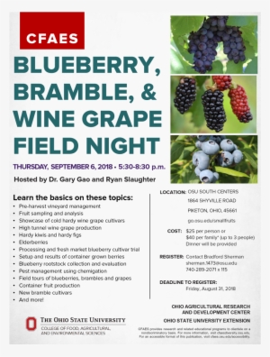 Blueberry, Bramble, & Wine Grape Field Night