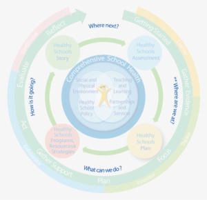 The Centre Of The Hs Lf Represents The Comprehensive - Circle
