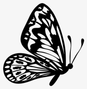 Flying Butterfly Outline Clipart - Flying Butterfly Clipart Black And White