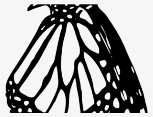Monarch Butterfly Outline - Monarch Butterfly