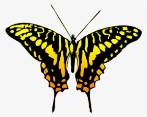 Butterfly Clipart - Black And Yellow Butterfly Clipart