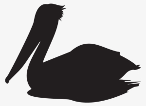 Similar Png's - - Pelican