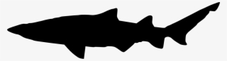 Free Png Shark Silhouette Png Images Transparent - Portable Network Graphics