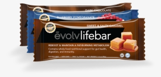 Evolv Lifebar