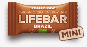 Raw Organic Brazil Mini Lifebar - Lifefood Lifebar Tyčinka Čokoládová Raw Bio 25 G –