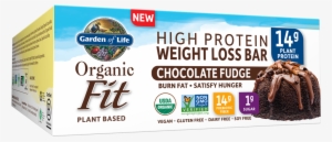 Garden Of Life Organic Fit Bar Chocolate Fudge