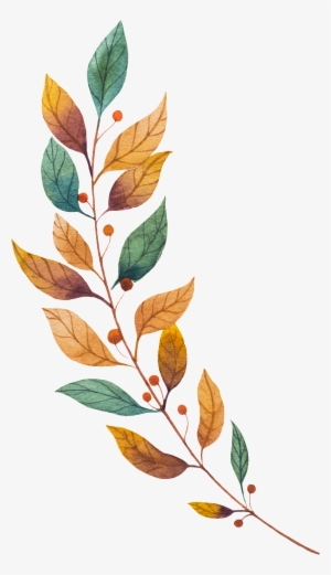 O Vetor Do Vector De Um Ramo De Flores E Ramos - Vector Graphics