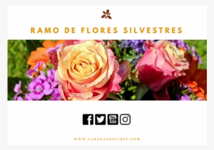 Ramo De Flores Silvestres - Flor Es Silvestres