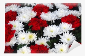 Ramo De Flores - Red