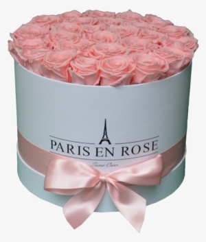 Flowerbox Rosa M - Persian Buttercup