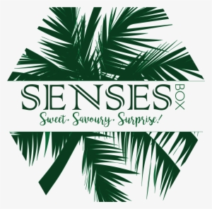 Senses Box Senses Box