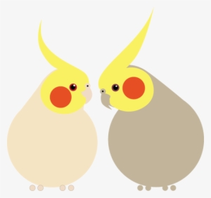 Picture - Cockatiel Color Palette