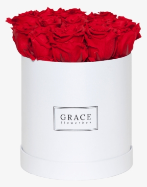Flower Box Png