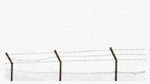 Barbed Wire Fence - Fence